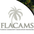 go to flacams banner